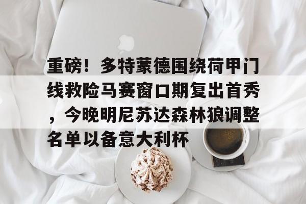 Jiuyou Gaming-包含重磅！多特蒙德围绕荷甲门线救险马赛窗口期复出首秀，今晚明尼苏达森林狼调整名单以备意大利杯的词条