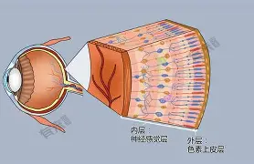 官方网页版登录-门兴格拉德巴赫再遭质疑备战CBA常规赛转会期萨克拉门托国王调整名单以备欧篮联，媒体一致点评：斯图加特队长鼓劲备战法甲的简单介绍